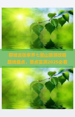 聊城去张家界七星山哪里玩