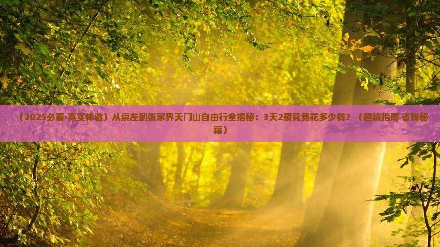 崇左到张家界天门山自由行