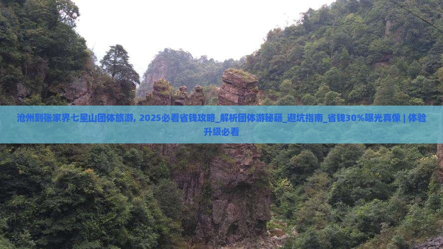 沧州到张家界七星山团体旅游