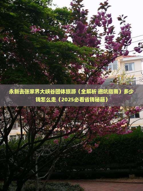 永新去张家界大峡谷团体旅游