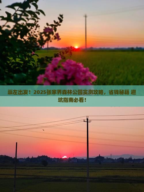 崇左去张家界森林公园攻略