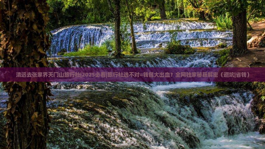 清远去张家界天门山旅行社