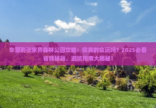 东营到张家界森林公园攻略