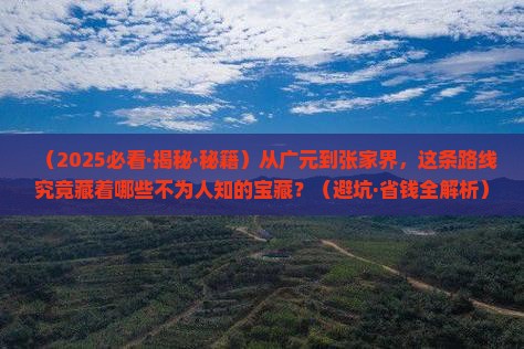 广元到张家界攻略
