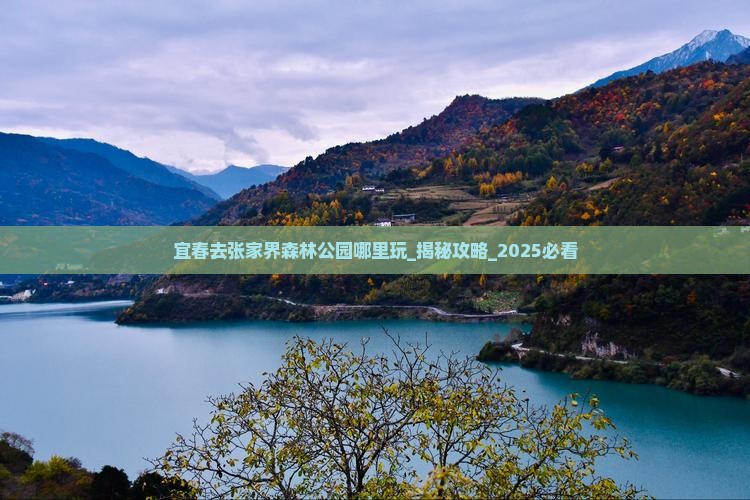 宜春去张家界森林公园哪里玩