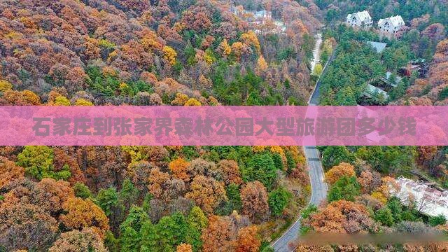 石家庄到张家界森林公园大型旅游团