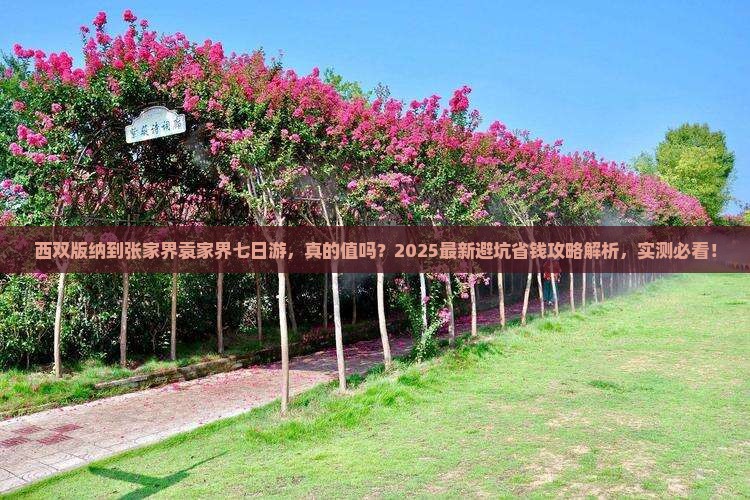 西双版纳到张家界袁家界七日游 西双版纳到张家界袁家界七日游