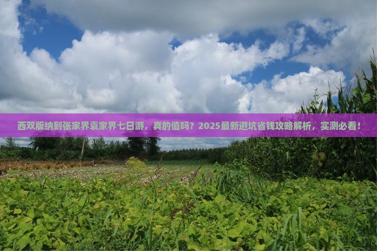 西双版纳到张家界袁家界七日游 西双版纳到张家界袁家界七日游