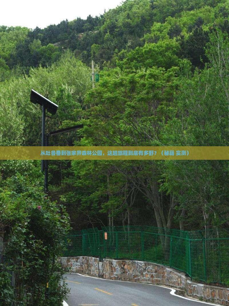 吐鲁番去张家界森林公园景点