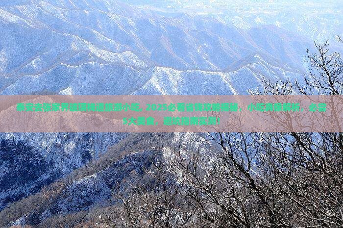 泰安去张家界玻璃栈道旅游小吃