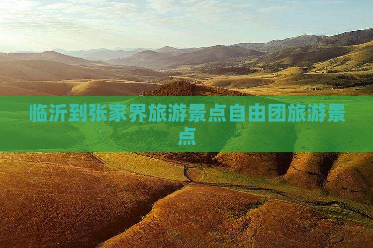 临沂到张家界袁家界自由团
