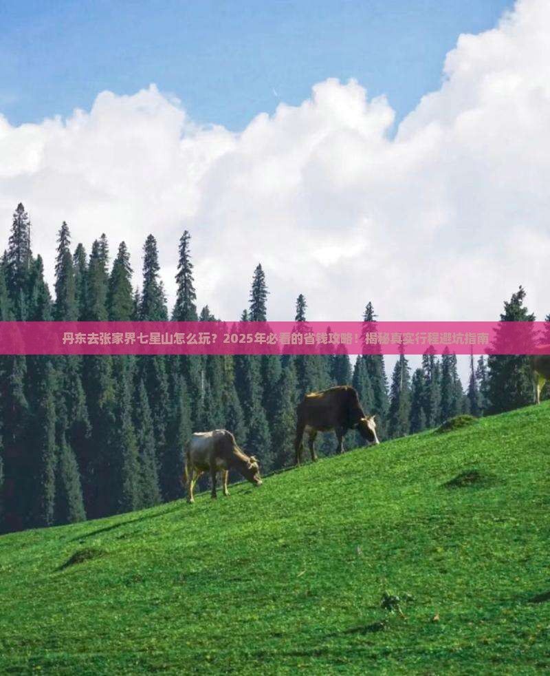 丹东去张家界七星山旅行社