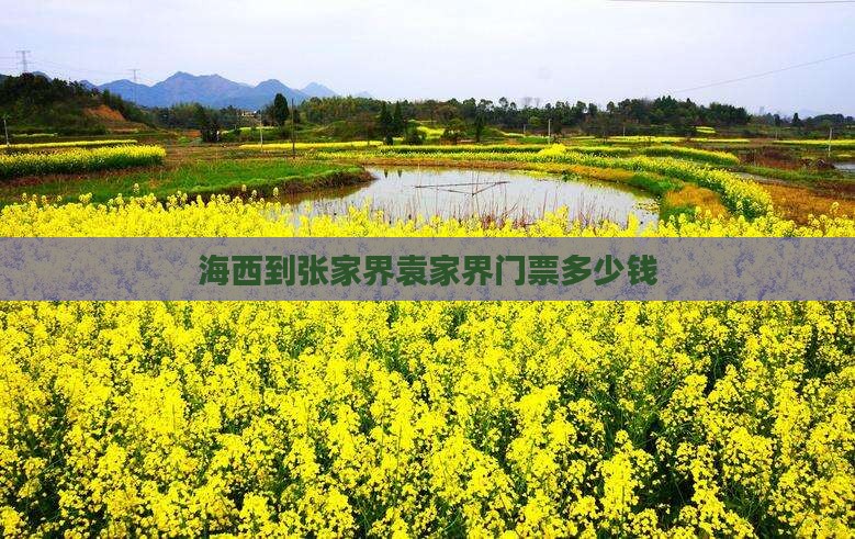 海西到张家界袁家界门票