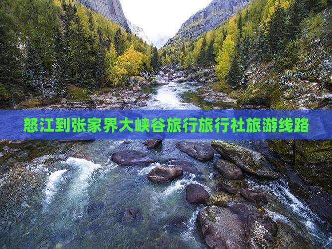 怒江去张家界大峡谷旅行社
