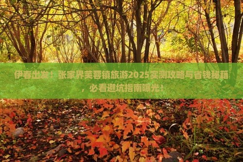 伊春到张家界芙蓉镇旅游
