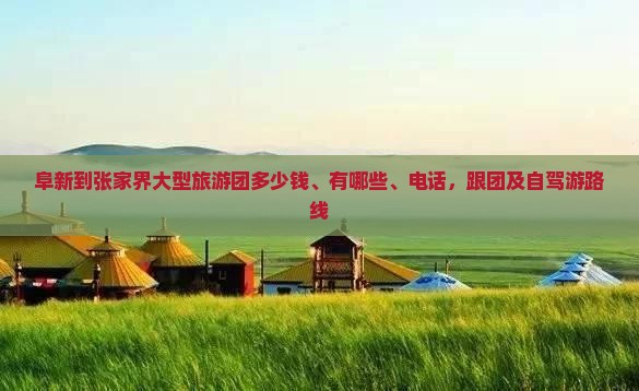 阜新到张家界大型旅游团
