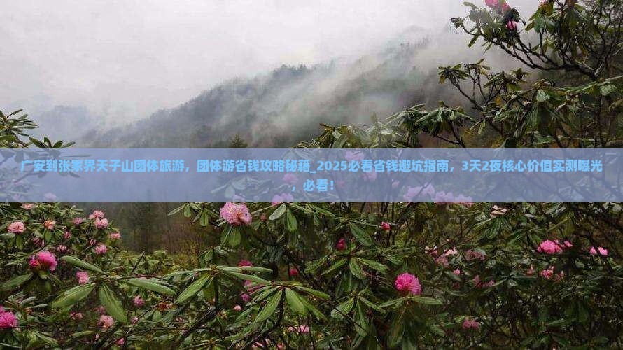 广安到张家界天子山团体旅游