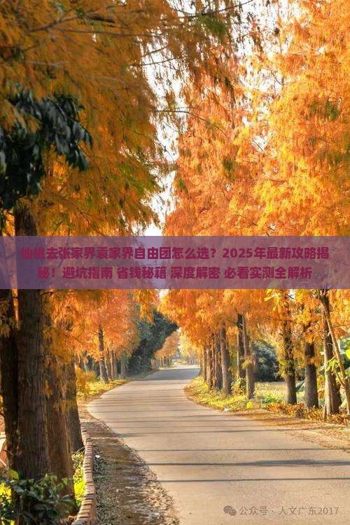 仙桃去张家界袁家界自由团