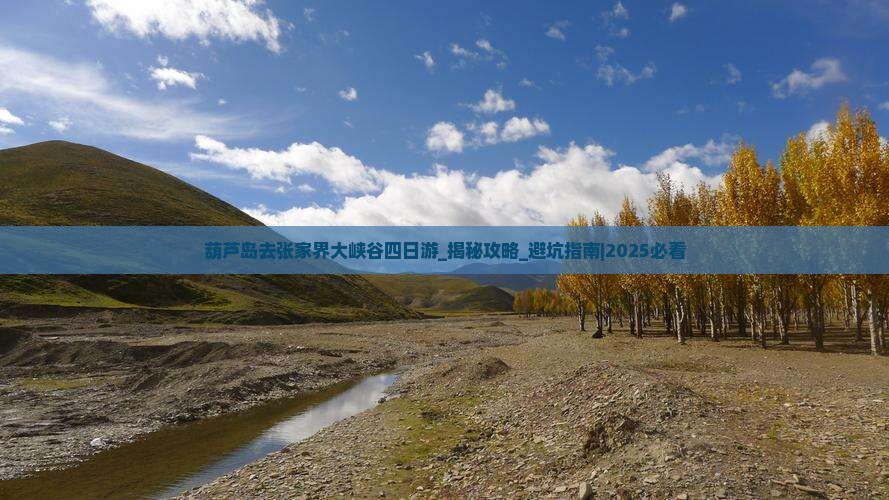 葫芦岛去张家界大峡谷四日游