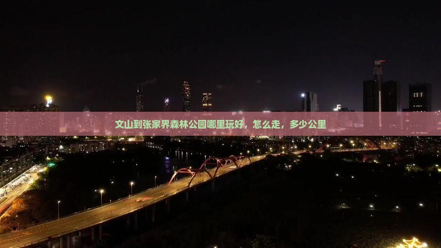 文山到张家界森林公园哪里玩