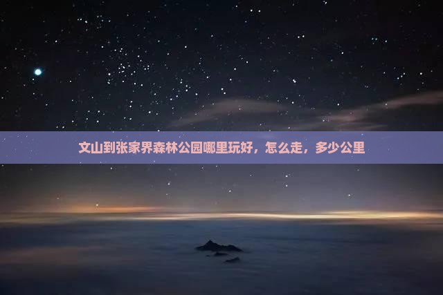 文山到张家界森林公园哪里玩