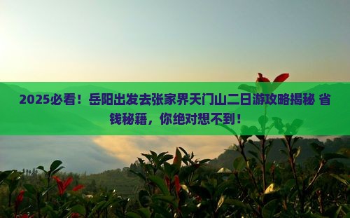岳阳去张家界天门山二日游