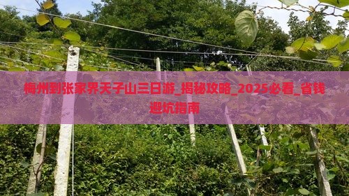 梅州到张家界天子山三日游