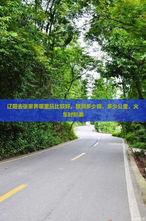 辽阳去张家界哪里玩