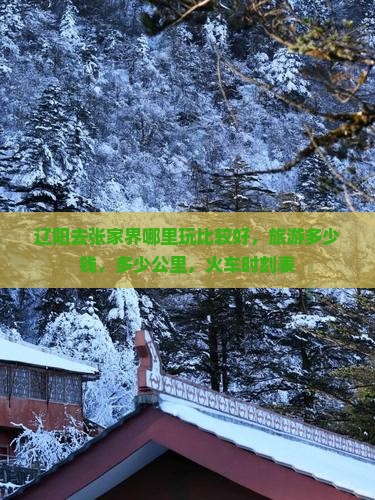 辽阳去张家界哪里玩