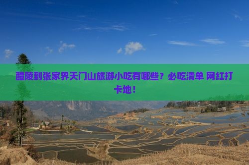 醴陵到张家界天门山旅游小吃