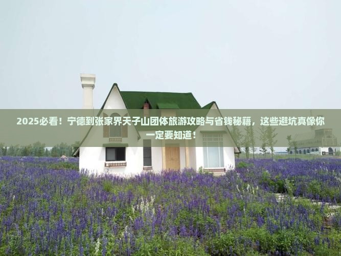 宁德到张家界天子山团体旅游