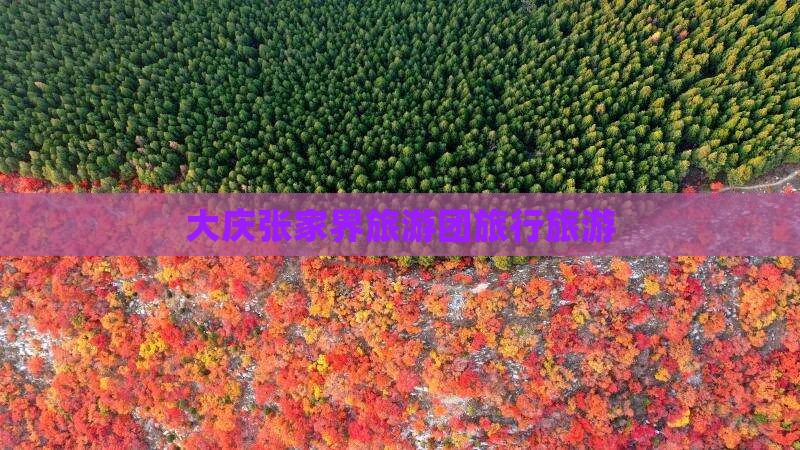 大庆到张家界旅行社