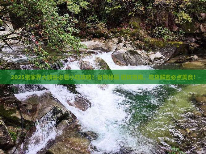 九江去张家界大峡谷旅游小吃