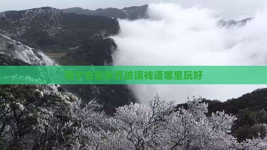 南宁去张家界玻璃栈道哪里玩
