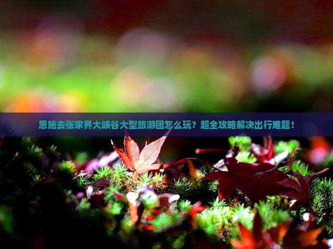 恩施去张家界大峡谷大型旅游团