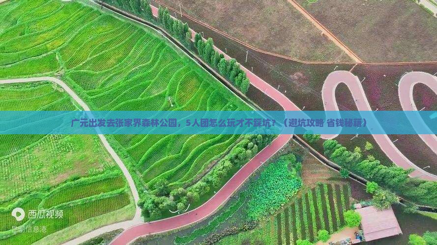 广元去张家界森林公园团体旅游
