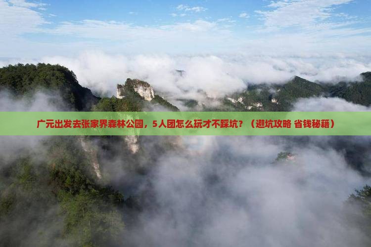 广元去张家界森林公园团体旅游