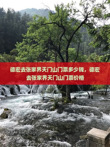 德宏去张家界天门山门票