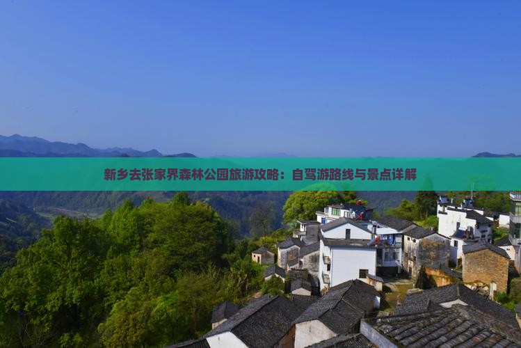 新乡去张家界森林公园个人游
