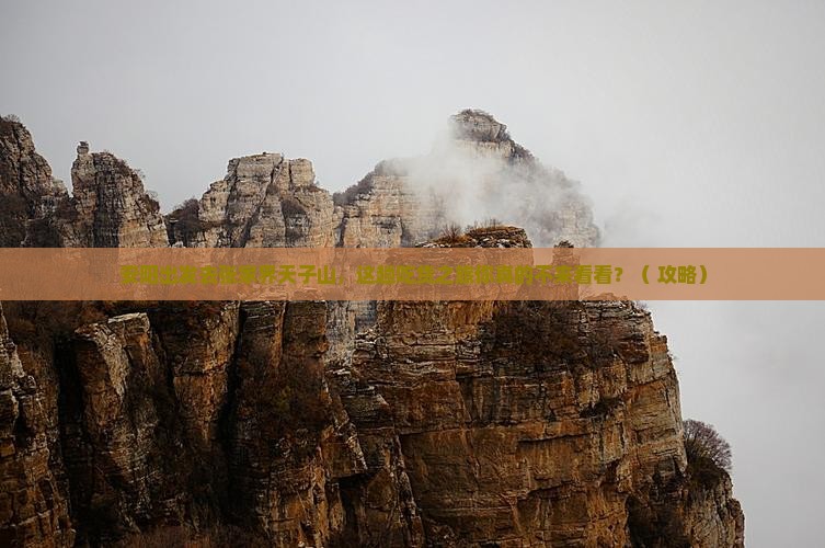 安阳到张家界天子山旅游小吃