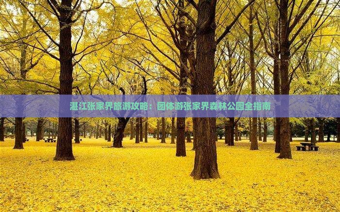 湛江到张家界森林公园团体旅游