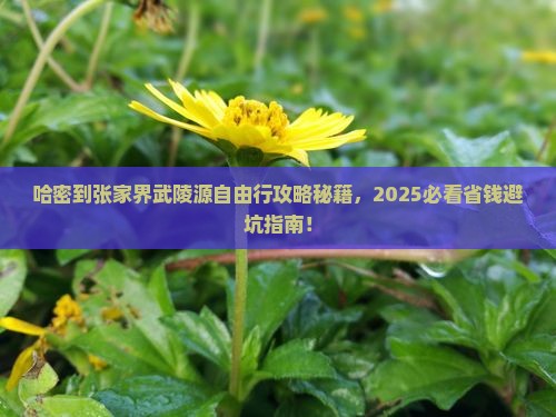 哈密到张家界武陵源自由行