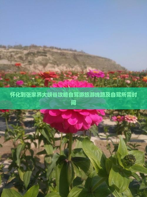 怀化到张家界大峡谷攻略自驾游旅游线路及自驾所需时间