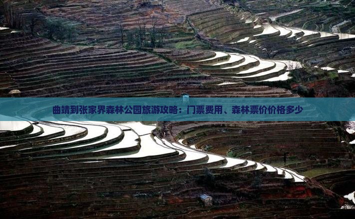 曲靖到张家界森林公园旅游攻略：门票费用、森林票价价格多少