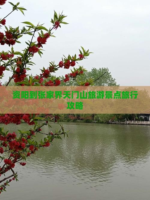 资阳到张家界天门山旅游景点旅行攻略