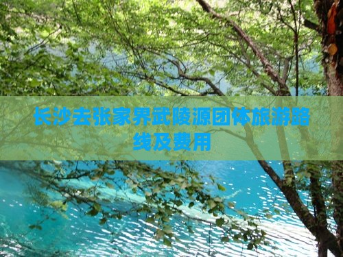 长沙去张家界武陵源团体旅游路线及费用