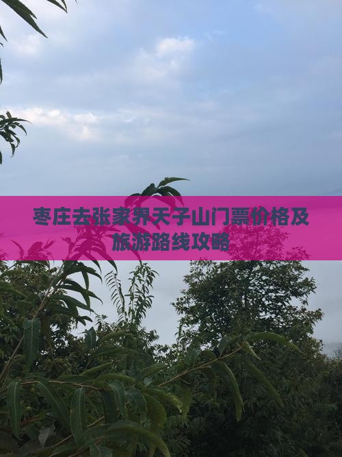 枣庄去张家界天子山门票价格及旅游路线攻略