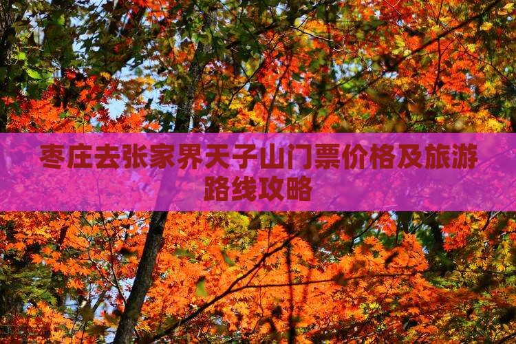 枣庄去张家界天子山门票价格及旅游路线攻略