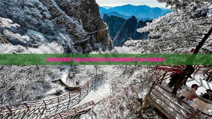 安阳到张家界七星山旅游五日景点攻略看看旅行社旅行报团多少