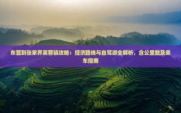东营到张家界芙蓉镇攻略：经济路线与自驾游全解析，含公里数及乘车指南